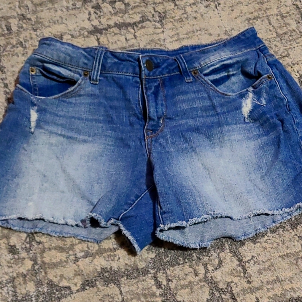 Time and Tru shorts